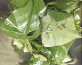 Foto langkah ke 1 dari resep Sayur Asem - seger.