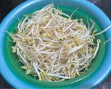 Hình bước làm 1 của món SP.0987 - Bún Xào Giá Đỗ Thịt Khìa