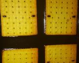 Foto langkah ke 4 dari resep Puding coklat crispy crackers.