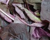 A picture of step 1 of Laal Saag Veggie.