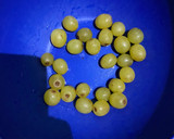 Foto del paso 1 de la receta: Uvas ácidas congeladas
