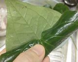 Hình bước làm 2 của món Chả lá lốt