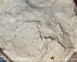 Foto del paso 5 de la receta: Mutabal o "paté de berenjena"