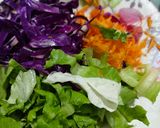 Foto langkah ke 4 dari resep Goi Ga (VietnameseChicken Salad).