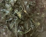 Foto langkah ke 1 dari resep Gulai daun singkong.