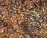 Foto del paso 4 de la receta: FE AL HORIZONTE Frijoles Negros con Epazote y Chorizo de Pollo