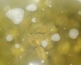 Danwakematakin girki3 hoto