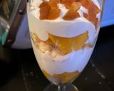 મેંગો ક્રિમ (Mango Cream Recipe In Gujarati) રેસીપી સ્ટેપ4ફોટો