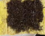 Foto langkah ke 2 dari resep Roti Bakar Keju Meises.