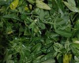 A picture of step 1 of Methi daal.