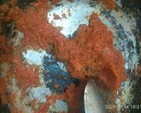 A picture of step 4 of Quick Aloo curry.