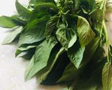 পাট শাক(Paat shak recipe in Bengali) রেসিপির ধাপ 1 ছবি