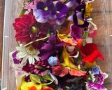Foto langkah ke 1 dari resep Edible Flower Pudding.