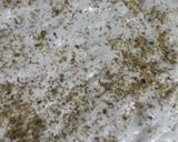 Foto del paso 3 de la receta: Pizzas caseritas