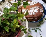 عکس مرحله 4 از دستور کیک اسفنجی با طعم لیمو