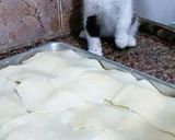 Foto del paso 4 de la receta: Fideos con queso al horno