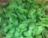 Foto langkah ke 1 dari resep Oseng Pare Udang (Tidak Pahit).