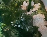 صورة لخطوة 1 من وصفة شيشبرك بالسبانخ باللبن وصلصة البندورة