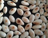 Polvorón, avagy spanyol karácsonyi mandulás keksz recept fázis 1 fotója
