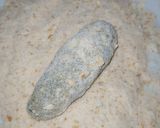 Foto del paso 4 de la receta: Bastones de acelga