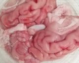 Hình bước làm 1 của món Óc heo chưng bí đỏ cho bé