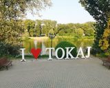I❤️Tokaj torta tonkával recept fázis 11 fotója