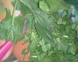 A picture of step 1 of Spinach with Mushrooms.