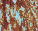 صورة لخطوة 5 من وصفة بيتزا صغيرة (MinPizza) العراقية