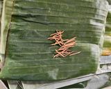 Foto langkah ke 1 dari resep Lemper Kuning Ayam Pedas Manis.
