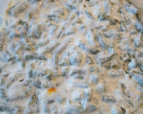 Rakott zöldbab recept fázis 4 fotója