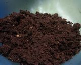 Foto del passaggio 3 della ricetta PIGNE AL CIOCCOLATO E CEREALI 🌲