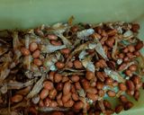 Foto langkah ke 1 dari resep Balado teri kacang.