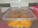 Nugget Ayam Bubble Crumb (Camilan Frozen Food)