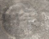 Foto langkah ke 3 dari resep Oseng Buncis Bawang Putih ala Resto.