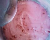 Foto langkah ke 2 dari resep Jentik Manis Puding Love.