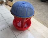 Hình bước làm 7 của món Mẹt mứt bí xanh
