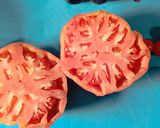 Foto del paso 1 de la receta: Ensalada de tomate y nectarina con bonus track de anchoa