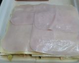 Foto del paso 5 de la receta Lasaña fresquita y ligera para el verano
