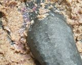 Foto langkah ke 2 dari resep Empal Daging.