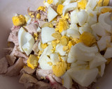 Foto del paso 6 de la receta: 18/12 📆 Ensalada o Salpicón de Pollo 🍗