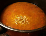 Foto del paso 9 de la receta: Lentejas castellanas, con tomates y patatas