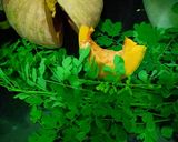 Foto langkah ke 1 dari resep Sayur Bening Daun Kelor Labu Kuning.