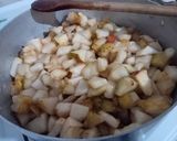 Foto del paso 4 de la receta: Mermelada de manzanas y peras. "Sin azúcar agregada"