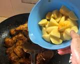 Marsala Chicken Curry with Potatoes recipe step 8 photo