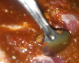 A picture of step 4 of Denderu.