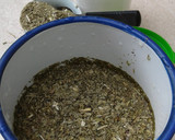 Foto del paso 1 de la receta: Palitos de mate cocido refrescantes