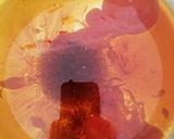 Foto del paso 4 de la receta: Pollo agridulce chino 🇨🇳