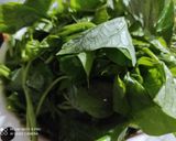Hình bước làm 1 của món Rau khoai xào tỏi