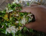 પાલક પનીર પરોઠા (Palak Paneer Paratha Recipe In Gujarati) રેસીપી સ્ટેપ2ફોટો