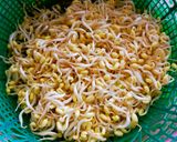Foto langkah ke 1 dari resep Orak Arik Sayuran Isian GEHU.